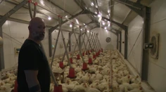 Rukami mu prejde 10-tisíc kurčiat ročne. Farmár Marek ich zákazníkom rozváža osobne