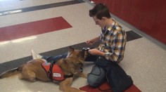 Bronnie nie je obyčajné domáce zviera. Udržuje pri živote malého chlapca