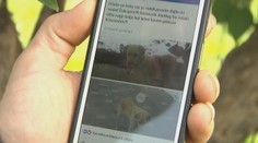 Mužovi sa stratil pes, našiel ho v útulku. Získať ho späť nebude vôbec lacné