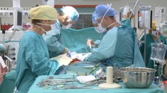 Orgánová turistika: Čiernemu trhu sa najlepšie darí Číne. A čo Slováci?