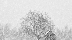 Chlapci sa stratili v snehovej búrke. Vďaka skvelému nápadu ochránili najmladšieho z nich