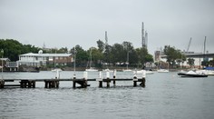 Krvavý útok žraloka v prístave v Sydney: Žena utrpela vážne zranenia. Mala šťastie, že na pláži bol lekár