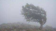 SHMÚ vydal výstrahy: Na týchto miestach bude fúkať silný vietor