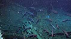 Po 103 rokoch objavili zmiznutú austrálsku ponorku