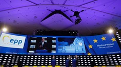 Ľudovci deklarovali víťazstvo v eurovoľbách