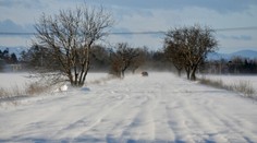 SHMÚ upozorňuje vo väčšine krajov na snehové jazyky, sever Slovenska potrápi vietor
