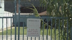 Vo väznici v Leopoldove postrelili počas výcviku strážnika