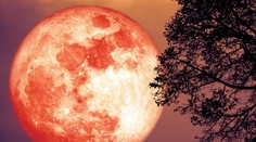 Lahôdka pre oči: V noci sa na oblohe zjaví „jahodový“ spln