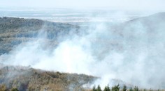 FOTO: V lesoch nad bratislavskou Račou vypukol rozsiahly požiar