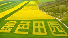 Jar zavítala do Číny. Krajinu zaplavila farba kvetov