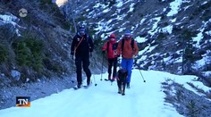 O priateľstve psa a človeka