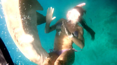 VIDEO: Žene sa počas šnorchlovania zahryzol do stehna žralok. Jej boj s predátorom zachytila kamera