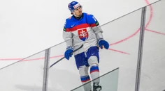 Pomohli Slovensku rozhodcovia? Českí experti v tom majú jasno, hodnotili viacero momentov