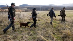 Poľovníci po mimoriadnom výbore: Sme pripravení na odstrel problémových medveďov