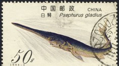 Jednu z najväčších sladkovodných rýb sveta vyhlásili za vyhynutý druh