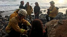 Žena prežila pád z útesu na pobreží Kalifornie, našli ju po týždni