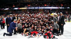 Calderov pohár druhýkrát v histórii vyhrali Grand Rapids Griffins