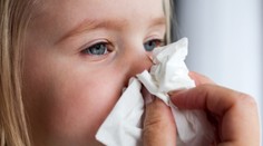 Nová štúdia: Vedci prišli s vysvetlením, prečo sa respiračné vírusy šíria najmä v zime