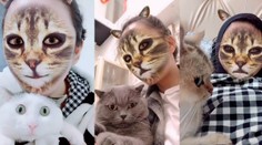 Virál na víkend: Mačky a psy reagujú na svojich pánov, ktorí sa menia na mačky