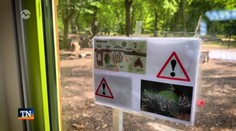 Obyvateľov Berlína terorizujú húsenice