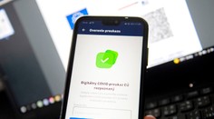 Údaje, ktoré dávame NCZI, sú v ohrození. Heker sa dostal ku COVID certifikátom všetkých prominentných politikov