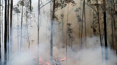 Hlavné mesto Austrálie vyhlásilo stav núdze. Požiar sa vymkol spod kontroly