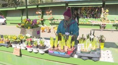 Sociálna poisťovňa vyplatí zvýšené dôchodky 160-tisíc pracujúcim penzistom