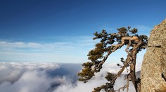 Pripravte sa na silný vietor. Najmä na horách