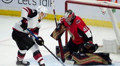 Pánik prispel dvomi asistenciami k výhre Arizony, hetriky Ovečkina a Hertla