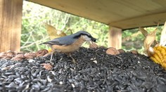 Jedinečná jedáleň nie len pre operencov. Stravníkov v nej môžete sledovať priamo počas hodovania