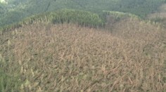 Smutné letecké zábery po víchrici