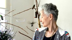 Žena premenila svoj byt na „nemocnicu“ pre kolibríky. Stovky zachránila pred smrťou