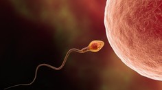 Do roku 2045 bude väčšina ľudí neplodných. Bez umelého počatia by sme vymreli, varuje vedkyňa