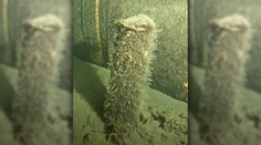 V tesnej blízkosti plynovodu Nord Stream objavili neznámy objekt valcovitého tvaru