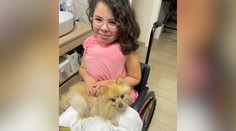 Sme zlodeji, ale máme srdce. Vážne chorému dievčatku z Talianska vrátili psa, na ktorého je naviazané