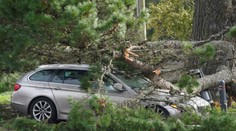 Víchrica Eunice si vyžiadala ôsmich mŕtvych. Víchrica spôsobila chaos, zabíjali najmä vyvrátené sromy