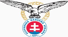 SNS mieri do parlamentu. SaS naopak