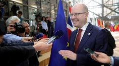 Český premiér Sobotka demisiu nepodá. Navrhne odvolanie Babiša