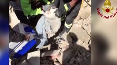 Z trosiek domu po zemetrasení vytiahli živého kocúra. V sutinách prežil 16 dní