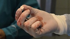Košickí vedci vyvinuli unikátny biomateriál
