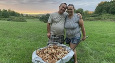 Rodina Labajovcov sa vracala z lesa s fúrikom plným dubákov. Už ich ani nemajú kam dávať