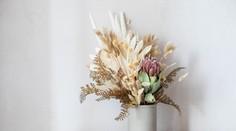 Populárne sušené kvety: Poradíme vám, ako sa máte o ne starať a vysušiť si ich aj doma