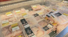 Po vajciach je tu ďalší spor. Ochranári chcú zakázať predaj kurčiat, ktoré Slováci kupujú najviac