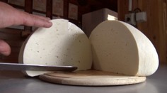 Na Slovensku sa falšujú aj pravé ovčie syry