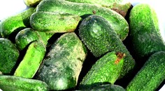 Sezóna zavárania uhoriek vrcholí. Mnohé gazdinky však narazili na problém