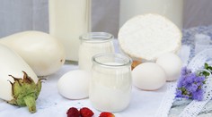 Podľa najnovšej štúdie by sme nemali vynechať z jedálnička mliečne výrobky
