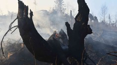 Výročie havárie DC-3: Letenka do Košíc na vlastnú svadbu sa jej stala osudnou