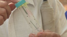 Niekde prežili aj horúčavy. Odborníci hlásia návrat kliešťov, problém to je aj pre majiteľov psov