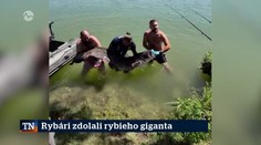 Rybári zdolali rybieho giganta