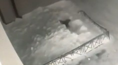 VIDEO: Dievča (6) sa druhýkrát narodilo. Po páde zo štvrtého poschodia prešlo po vlastných